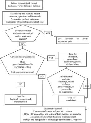 Prevalence of sexually transmitted infections (STIs), associations with sociodemographic and behavioural factors, and assessment of the syndromic management of vaginal discharge in women with urogenital complaints in Mozambique
